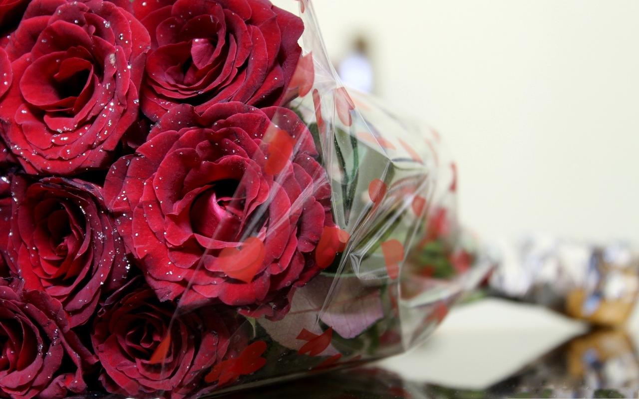 好看的情人节浪漫玫瑰花卉高清图片桌面壁纸-植物壁纸-壁纸下载-美桌